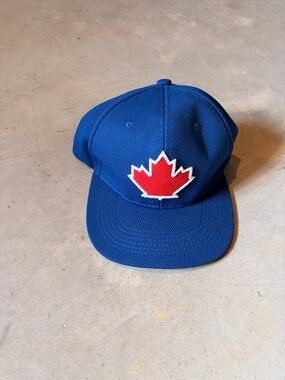 Toronto Blue Jays SnapBack